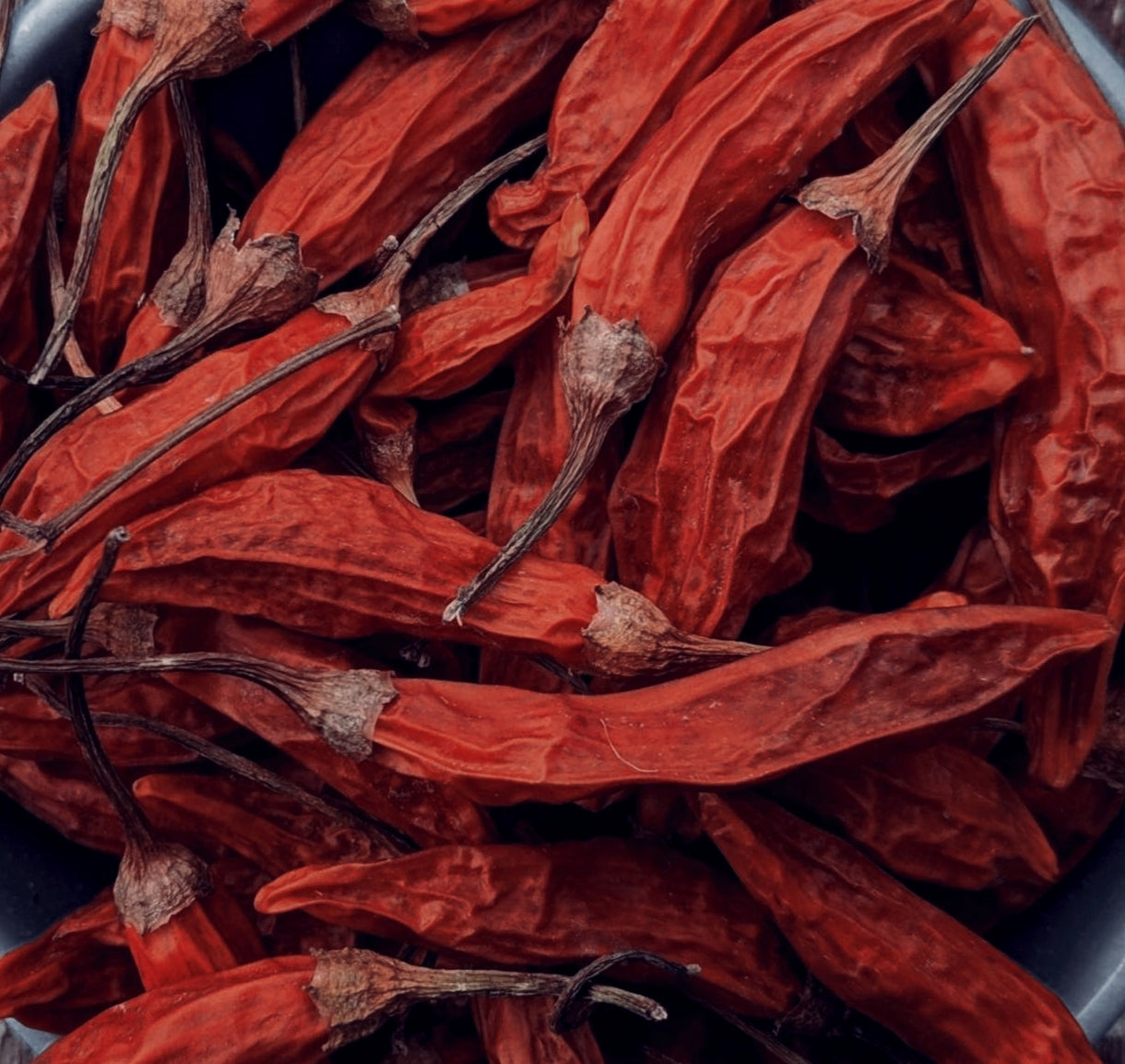 Piments « Cayenne » | Notre culture biodynamique