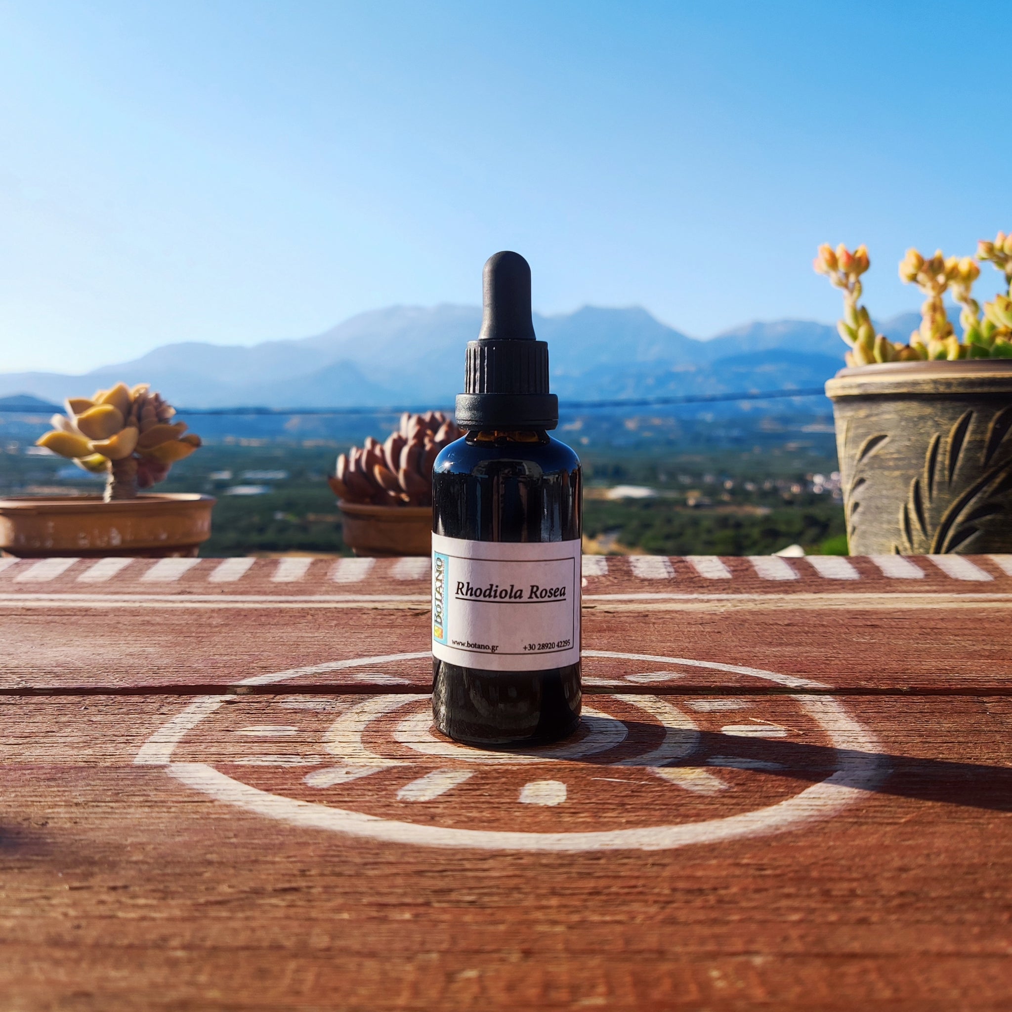 Rhodiola Tincture (Rhodiola Rosea)