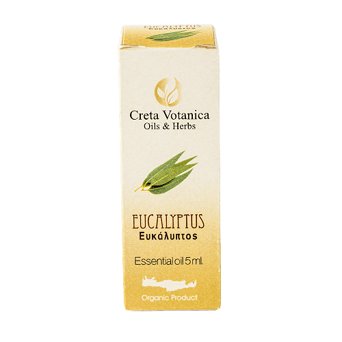 Eucalyptus Essential Oil | Organic