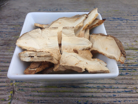 Shiitake Mushrooms (Lentinula Edodes)