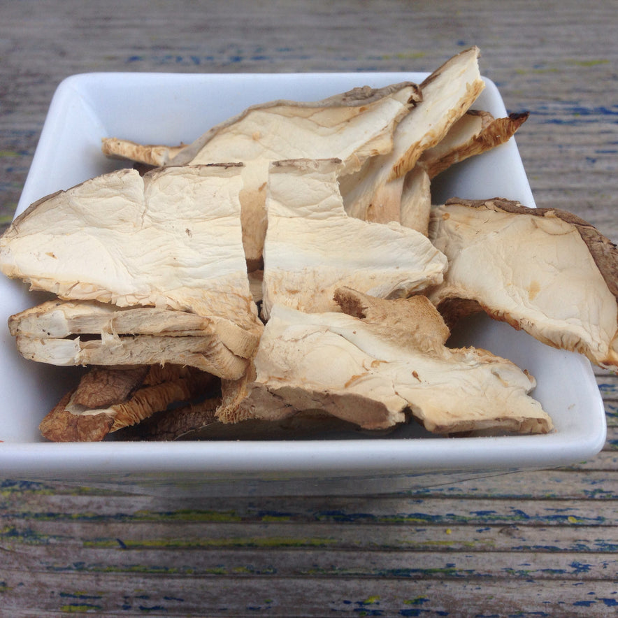 Image for Shiitake-Pilze (Lentinula Edodes)