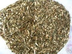 Ziegenraute (Galega officinalis)