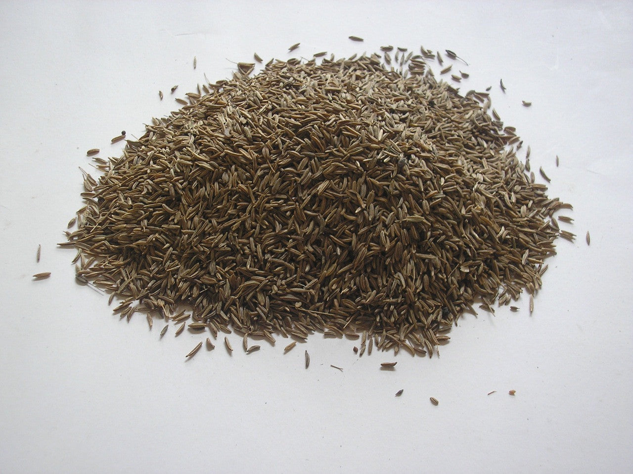 Caraway / Kümmel Seeds (Carum Carvi)