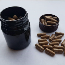 Shilajit Capsules (Asphaltum Punja-Bianum)